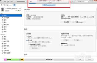 安卓系统查浏览记录,一键查看你的上网足迹