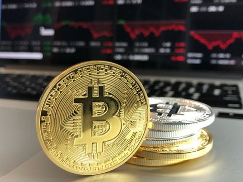 加密货币畅销书目,畅销书中的财富密码解析