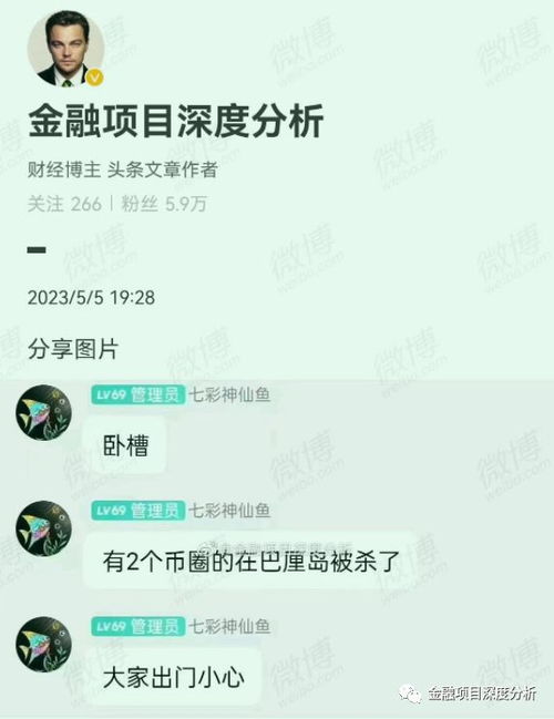 加密货币巴厘岛情侣币圈,加密货币的浪漫邂