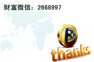 加密货币蒂克币,加密货币领域的璀璨新星