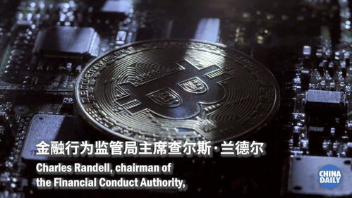 加密货币炒作的基础,揭秘市场狂热背后的秘