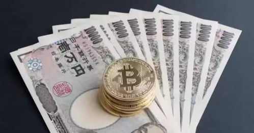 加密货币持久力是指什么,探寻数字货币的生