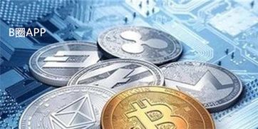 加密货币的真实表现为,真实表现与未来展望