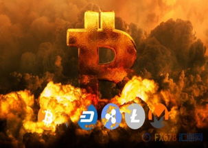 加密货币大佬暗杀,真相与阴谋交织