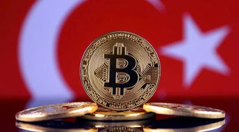 加密货币会被美国标记吗,美国监管下的身份