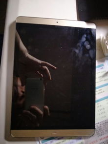 双系统安卓密码忘记,解锁密码的神秘之旅