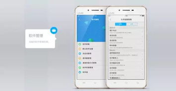 安卓系统vivo能玩吗,畅享丰富游戏体验