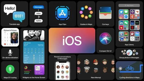 ios系统和安卓系统的关系,系统共生下的