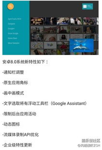 安卓续航最强系统排名,揭秘续航最强系统排