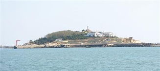 兔子暴动 