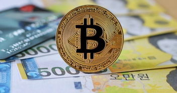 加密货币的支撑机构,构建信任与稳定的力量