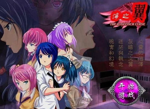 泞之翼2:迷失 