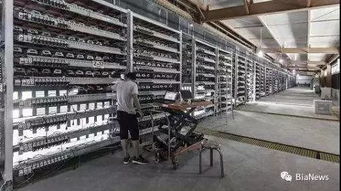 加密货币采矿机,性能、功耗与未来趋势