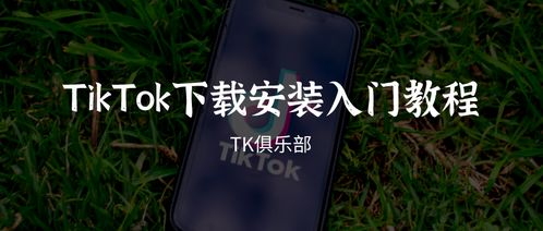安卓系统如何安装tk,安卓系统下使用tk