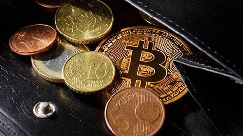 加密货币和比特币哪个好,谁才是未来的王者