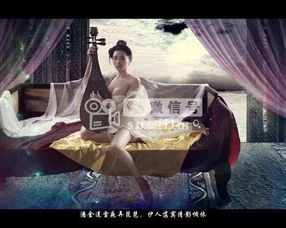 龚玥菲金瓶梅
