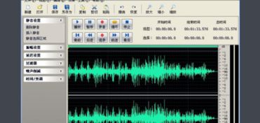 中阮调音软件安卓系统,音乐爱好者必备利器