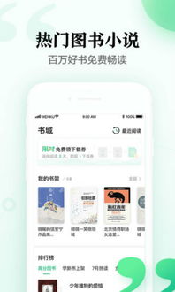 安卓手机系统桌面文件,布局与功能概览