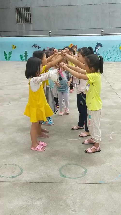 孤独的鸟儿游戏官方版2024下载安装v2.4 