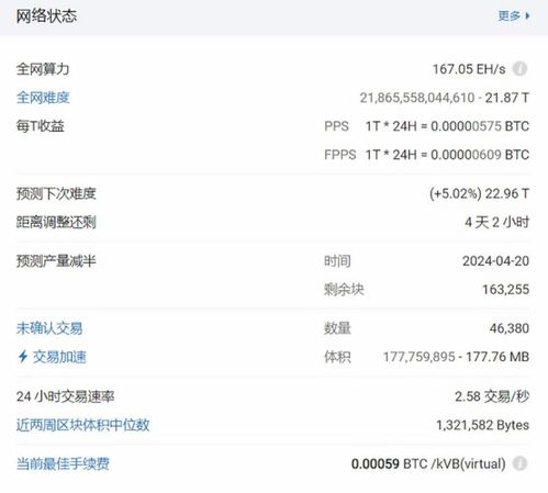 加密货币持有情况查询表,揭示市场分布与投