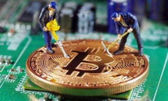 加密货币的矿工,幕后英雄的挑战与机遇