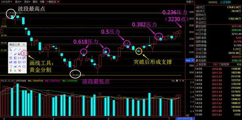 加密货币黄金分割率高吗,黄金分割率的应用