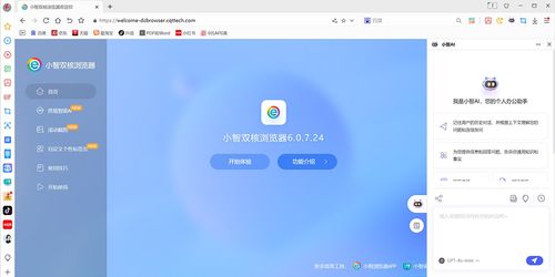 小小智多星 
