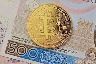 加密货币大降温了吗,分析现状与未来趋势