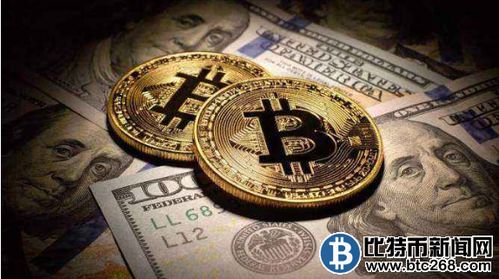 加密货币币种价格,实时解析各大币种涨跌概