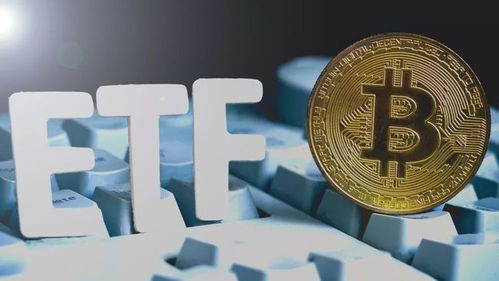 加密货币还可以交易吗吗,在波动中寻找机遇