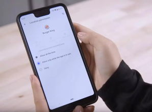 安卓操作系统10.0,全新操作系统带来的