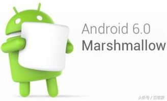 安卓系统叫什么名称,揭秘Android系
