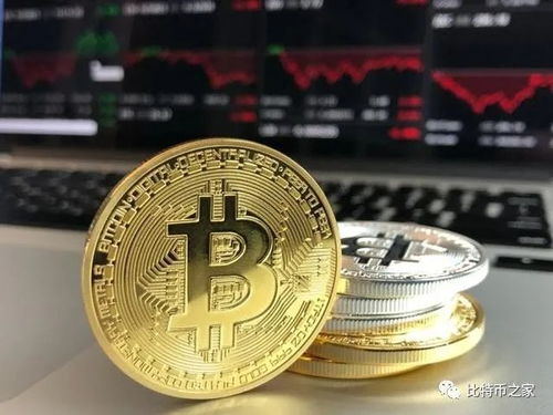 加密货币个人持有者指南,安全、合规与投资