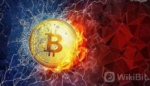 加密货币冰火,加密货币市场的风云变幻