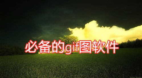 qc软件库(资源库)软件手机安卓版下载v2.0.0 