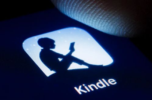 kindle支持安卓系统么,安卓系统支持