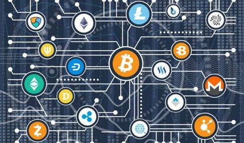 加密货币公司人格特征,揭秘其独特人格特征
