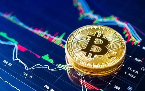 加密货币负责人证词,负责人亲述行业内幕与