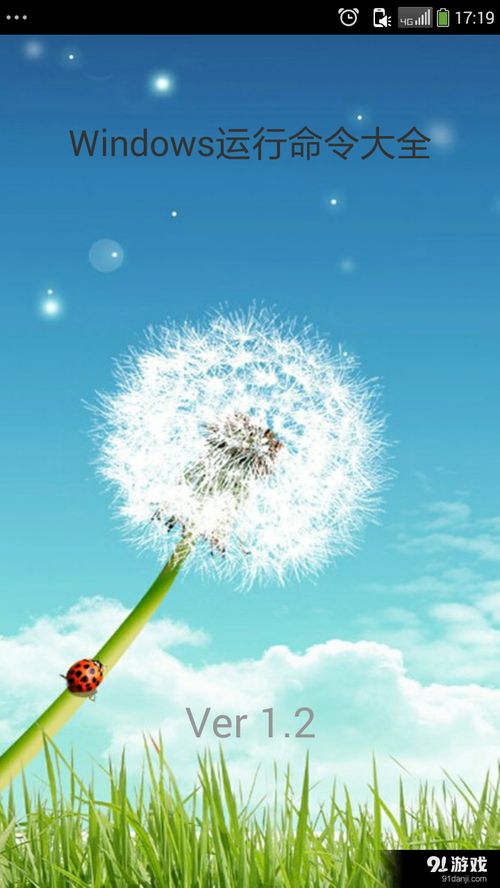 安卓系统下运行cmd,Android系统
