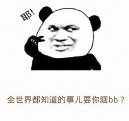 安卓调用系统相机裁剪,Android系统