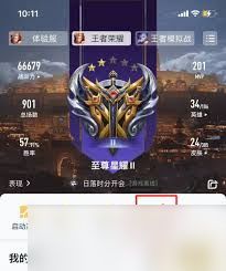 王者苹果系统转换安卓,轻松实现跨平台畅玩