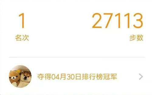 快看步数 