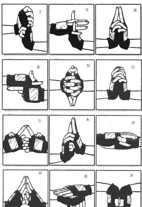 幸存者结合 