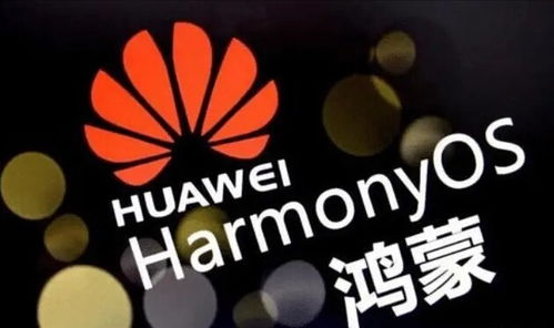 安卓系统宣布退出中国,影响与未来展望