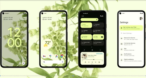 idev安卓系统能用么,全面探索其应用前