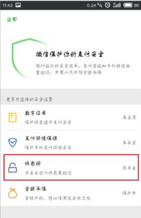 安卓系统微信支付手势,手势解锁背后的安全