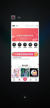 黑鲨手机系统安卓10,深度解析与体验分享