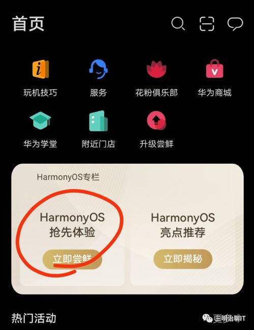 安卓手机怎样升级鸿蒙系统,操作指南与体验