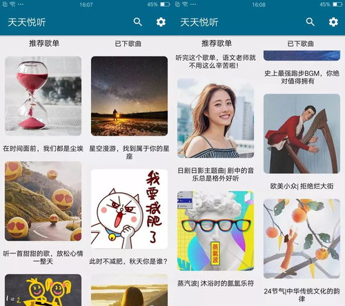 安卓系统小众听歌软件,音乐世界的隐秘宝藏