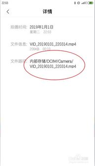 安卓系统视频文件位置,揭秘视频文件神秘藏